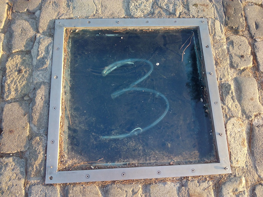 The ratio of numbers in the Fibonacci sequence defines the proportions of the nautilus shell, the branching of trees and the arrangement of leaves on a stem