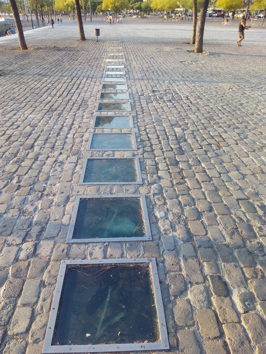 In 1202, an Italian mathematician named Leonardo Bonacci, known as Fibonacci, wrote a book, Liber Abaci (Book of Calculation), which brought the sequence to the western world